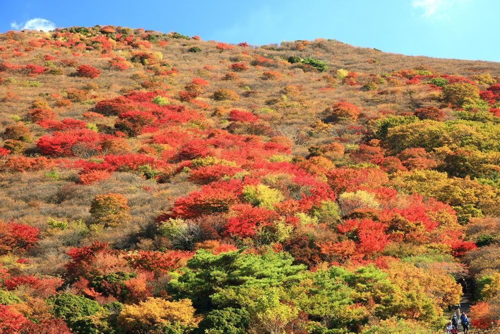 스파그린니스 호텔 코코노에 외부 사진